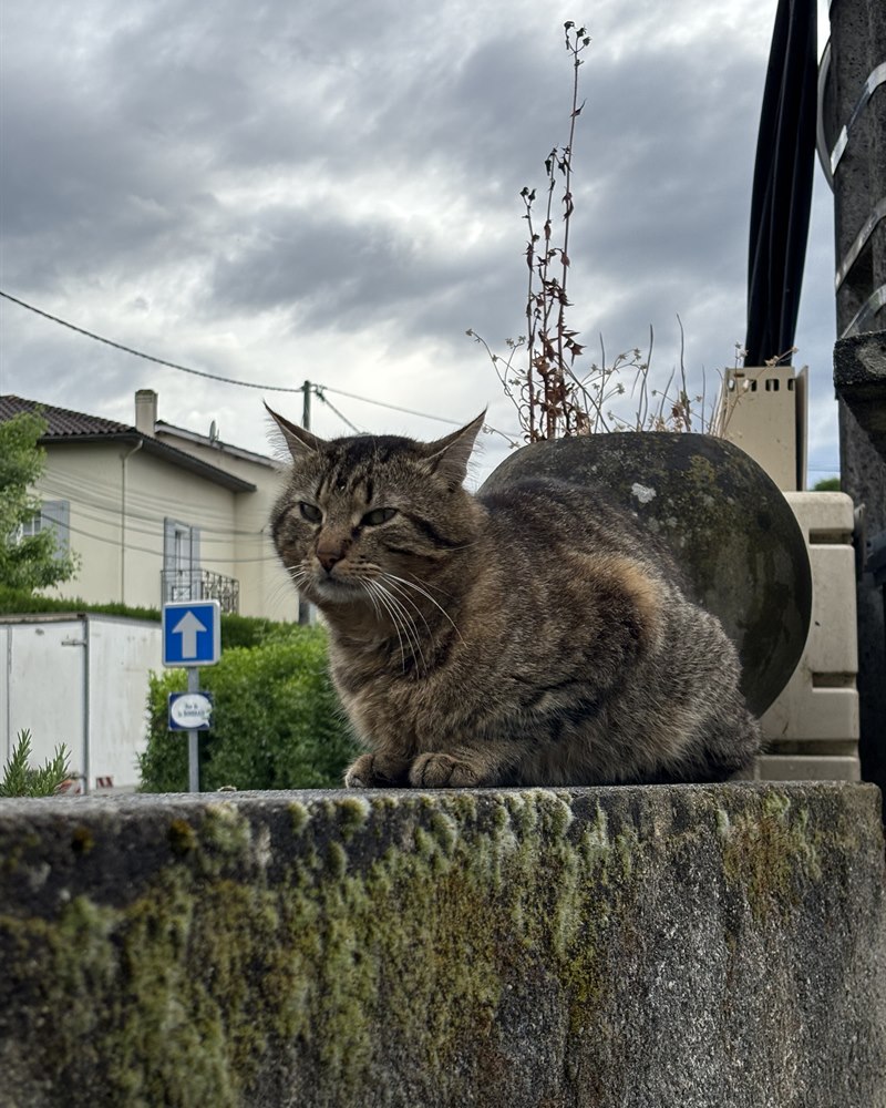 Portrait de Franklin