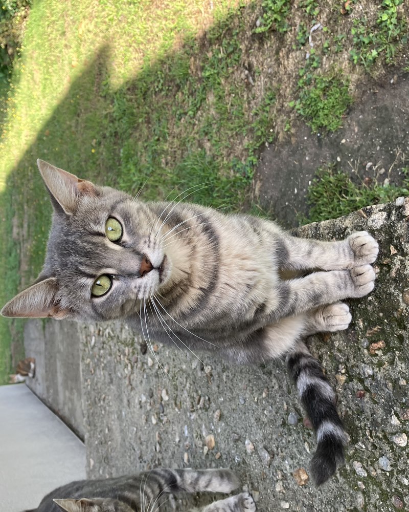 Portrait de Minicro
