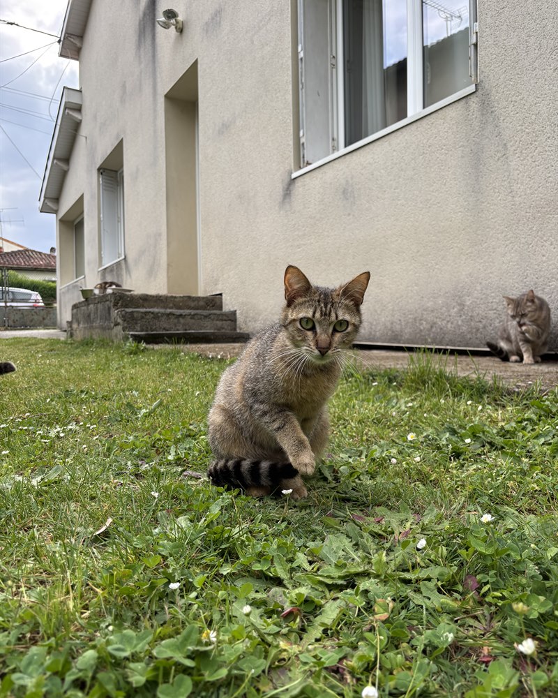 Portrait de Tchipie